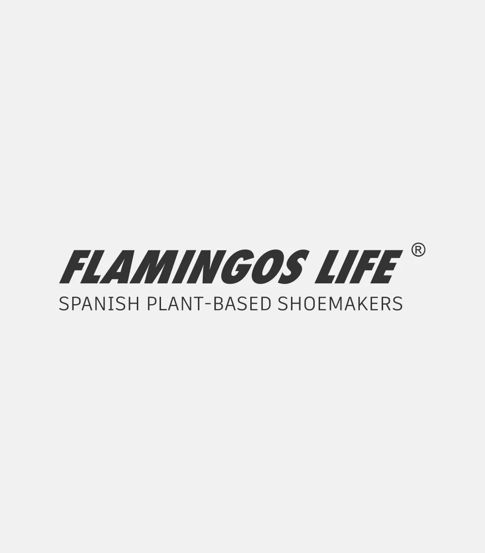 Flamingos-Life