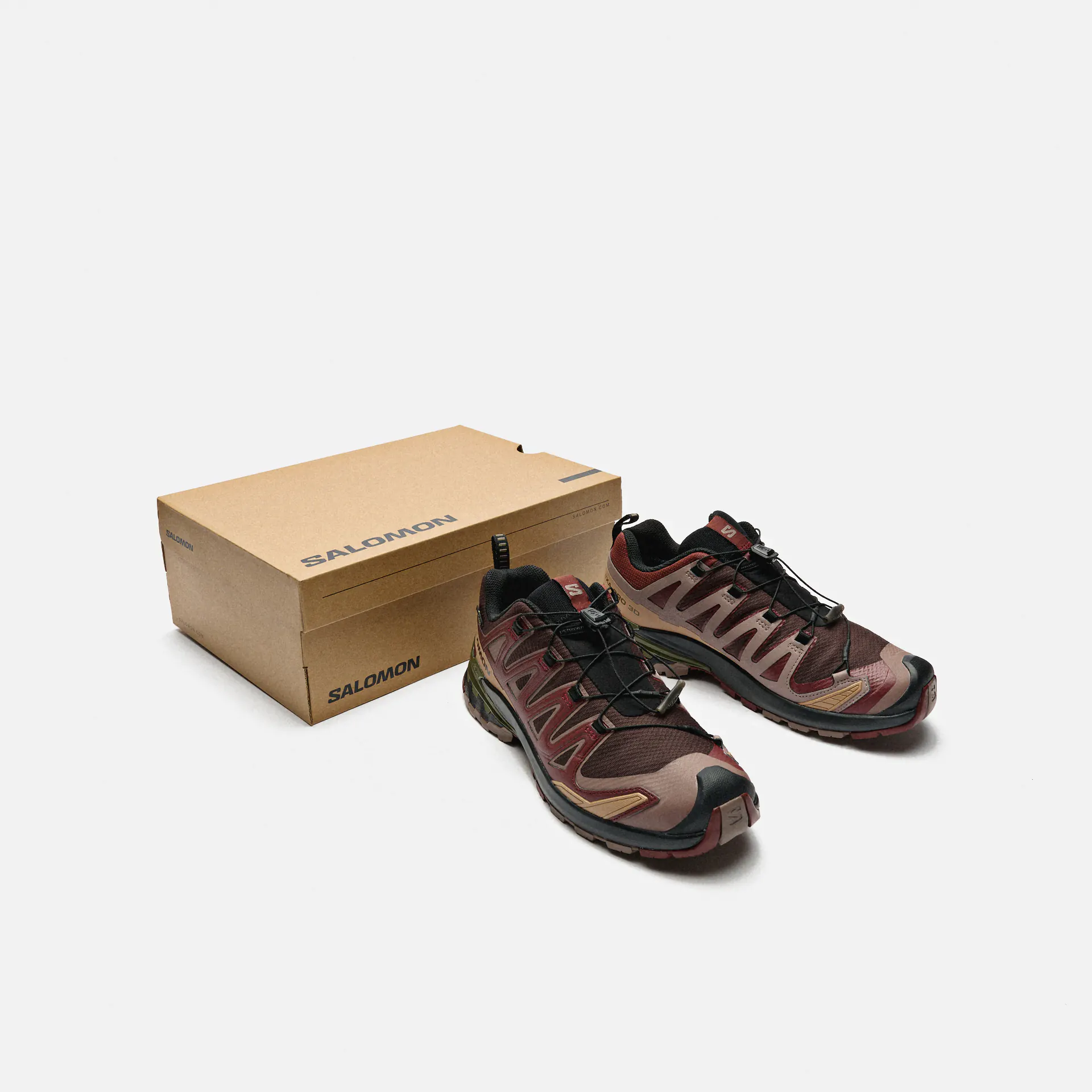 Salomon XA PRO 3D V9 GORE-TEX Sneaker Black Coffee/Rum Raisin/Olive Night